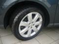 obrázek vozu RENAULT VEL SATIS  3.0 dCi V6 130Kw Maximální výbava 130 kW